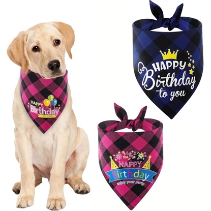 Picture of Happy Birthday checked Dog bandana